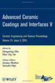 Advanced Ceramic Coatings And Interfaces V