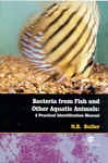 Bacteria From Fish And Other Aquatic Animals