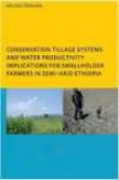 Conservation Tillage Systems And Water Peoductivity; Implications For Smaklholder Farmers In Semi-arid Ethiopia