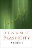 Dynamic Plasticity