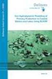 Evo-hydrodynamic Modelling Of Radical Production In Coastal Waters And Lakes Using Bloom