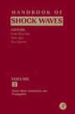 Handbook Of Shock Waves