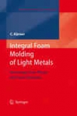 Integral Froth Molding Of Light Metals