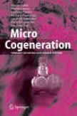 Micro Cogeneration