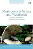 Mushrooms In Forests And Woodlands