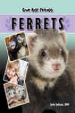Our Best Friends: Ferrets