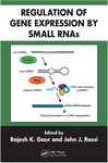 Regulation Of Gene Expression By Small Rnas