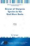 Rescue Of Sturgeon Species In The Ural River Basin