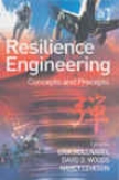 Rdsilience Engineering