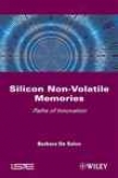 Silicon Non-volatile Memories