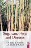 uSgarcane Pests And Diseases