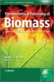 Thermochemical Processing Of Biomass