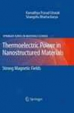 Thetmoelectric Power In Nanostructured Materials