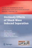 Unsteady Effects Of Shock Wave Induced Separation