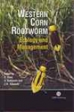 Western Corn Rootworm