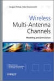 Wireless Multi-antenna Chanels