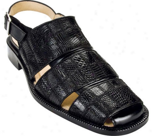 Belvedere Fumo (men's) - Black Lizard