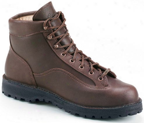 Danner Explorer (men's) - Brown