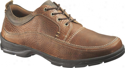 Hush Puppies Static (men's) - Brown Leathed