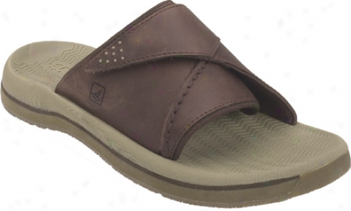 Sperry Top-sider Santa Cruz Slide (men's) - Chocolate