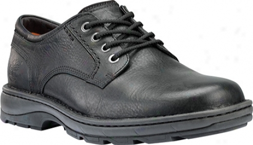 Timberland Earthkeepers City Endurance Comfort Oxford (men's) - Black Smooth Leather
