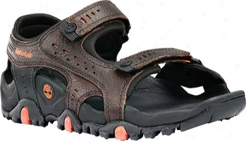 Timberland Granite Trails T-back Sandal (men's) - Dark Brown Leather