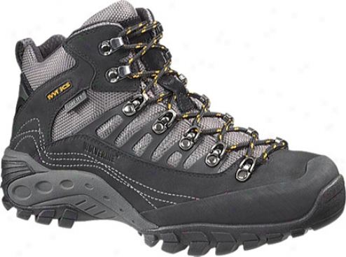 Wolverine Compass Hiker (men's) - Back