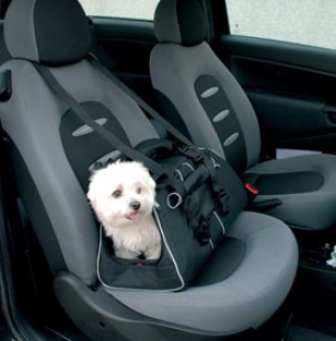 Motor Trend By Petego Jet Set Pet Carrier