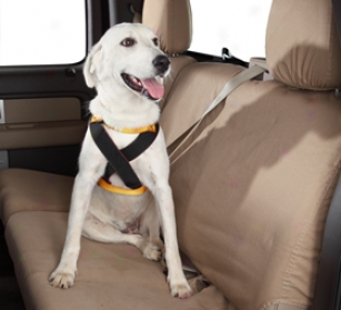 Ruff Rider Roadie Dog Harness - Dog Seat Belt