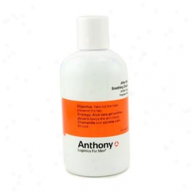 Anthony oLgistics For Men After Sun Soothing Cream 177ml/6oz