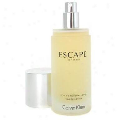 Calvin Klein Escape Eau De Toilette Spray 100ml/3.3oz
