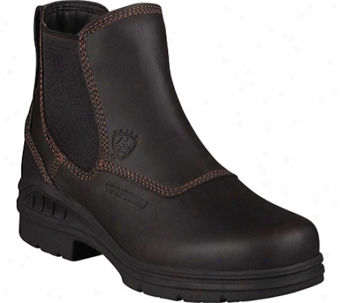 Ariat Barn Yard Twin Gore H20 (women's) - Dark Brown Waterproof Full Grain Leather