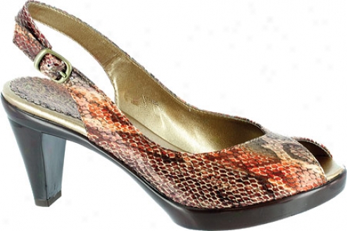 Bella Vita Wren Ii (women's) - Bdonze Snake