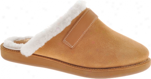 Cole Haan Appearance Lily Suearling Clog (women's) - Golden Safari