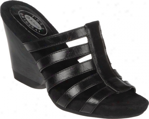 Dr. Scholl's Wired (women's) - Black Pu