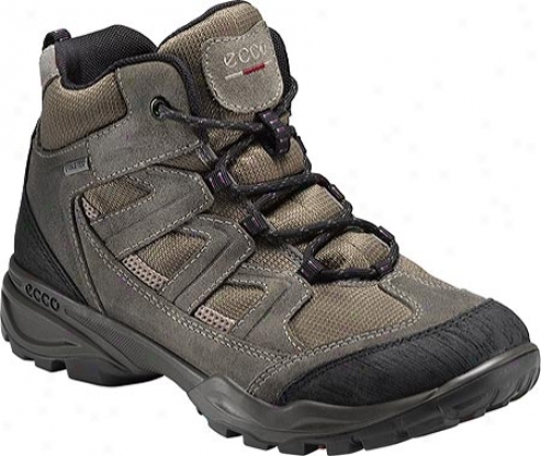 Ecco Kiruna Hi Gtx (women's) - Warm Grey/warn Grey