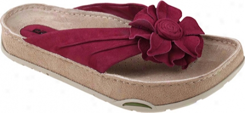 Kalso Earth Shoe Rose 2 (women's) - Berry Kid Suede