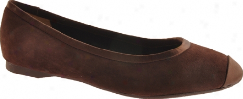 Paris Hilton Darnella (women's) - Brown Suede