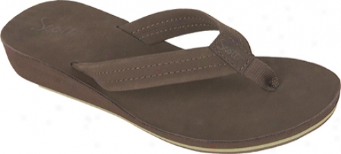 Scott Hawaii Aleo (womens) - Chocolate