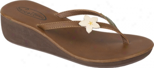 Scott Hawaii Pualani (women's) - Tan