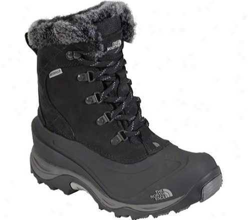 The North Face Mcmurdo Ii (women's) - Black/black