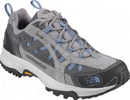 The Northerly Face Sorceress Gtx (women's) - Alloy Grey/platinum Ice Blue