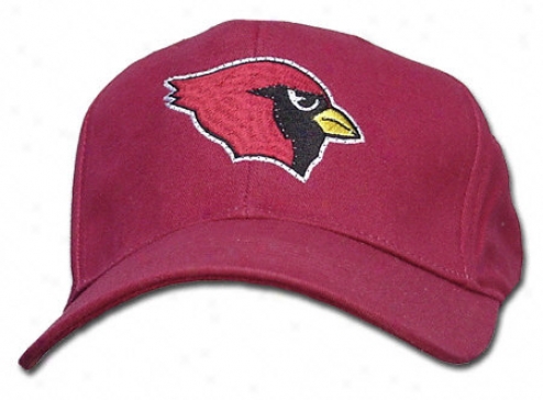 Arizona Cardinals Fiber Optic Cardinal's office