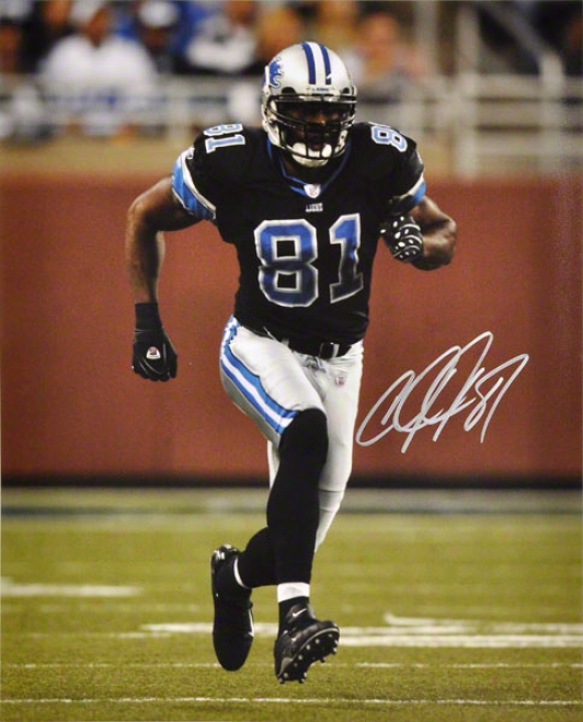 Calvin Johnson Autographed 16x20 Photograph  Detajls: Detroit Lions, Pose Shot