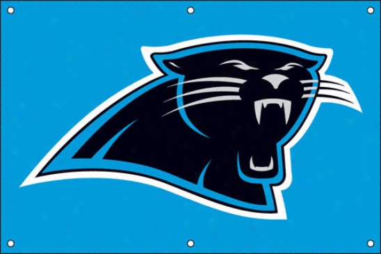 Carolina Panthers 2 X 3 Fan Banner