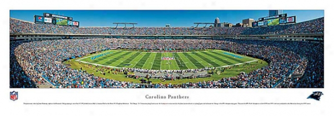 Carolina Panthers 40x13 Unframed Panoramic