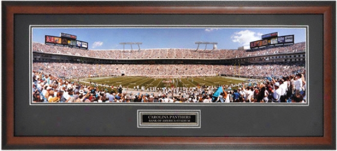 Carolina Panthers - 47 Yard Line Vs 49ers - Framed Unsigned Panoramic Potograph