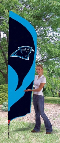 Carolina Pantners Team Pole Flag