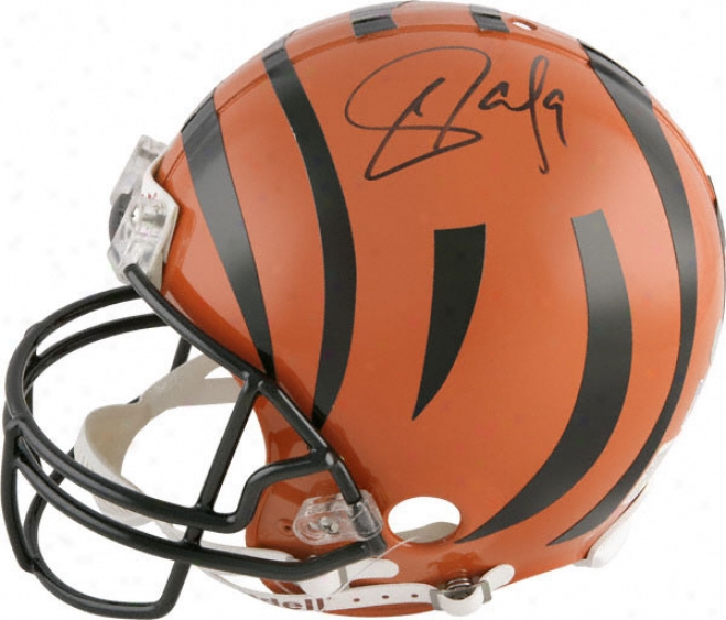 Carson Palmer Autographed Pro-line Helmet  Details: Cincihnati Bengals, Trustworthy Riddell Helmet