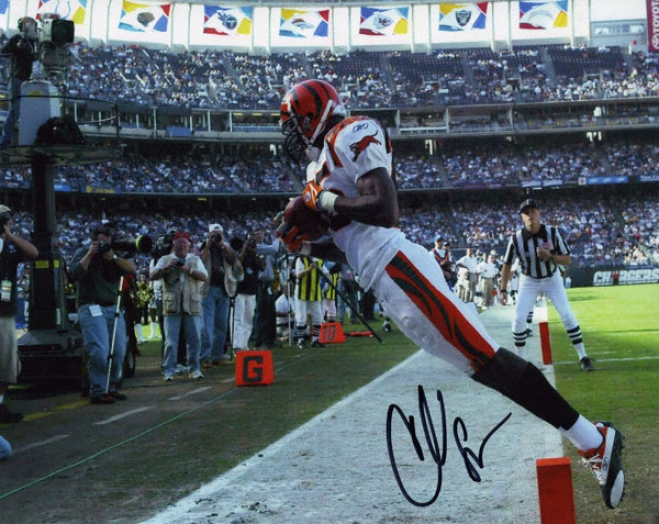 Cnad Johnson Cincinnati Bengals 8d10 Autographed Photograph